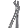 Stainless Steel Extraction Forceps, , #13 English