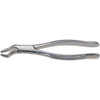 Stainless Steel Extraction Forceps, Straight Handle, #53L