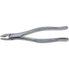 Stainless Steel Extraction Forceps, Straight Handle, #1