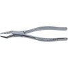 Stainless Steel Extraction Forceps, , #65