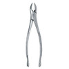 Premier, FORCEPS 151- SERRATED                                                                                , 9065077