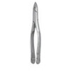 Mark3, Extracting Forceps Universal #151S Pedo Lower Incisors Bicuspids & Roots Universal, 100-in-43291