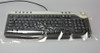 Palmero, Keyboard 9" x 19" Film (800 sheets per roll), 1802