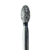 Neodiamond No.1900 Egg Coarse 25/PK (Microcopy - 1900C) - exp. 01/2027