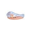 Keystone, Keyortho Ibt 1Kg, 4220008