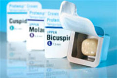 Protemp Crown Bicuspid (Premolar) Upper Large 5/Pk