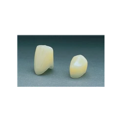 Polycarbonate Crowns  35