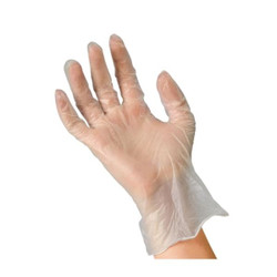 House Brand Vinyl Gloves - X-LARGE 1000/Cs. Powder-Free, Smooth. Case of 10
