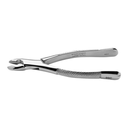 House Brand #99C SG (serrated) upper bicuspid, cuspid, and incisor surgical Forceps