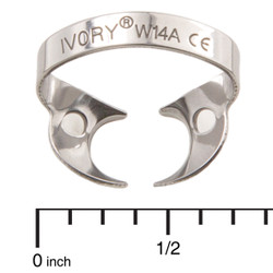 Ivory Clamps #W14A Wingless Downward Sloped Jaws for Large, Partially Erupted