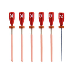 One File G Gutta Percha Carrier Obturators, 5 x #25 (Red) Obturators + 1 Verifier