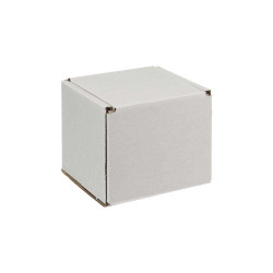Large Fold Up Carton