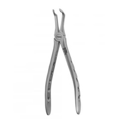 45 Root Forceps