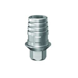 CAD/CAM Ti Base