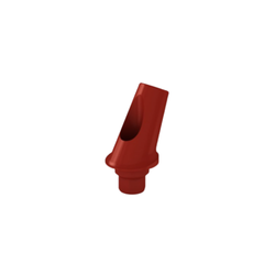 25 Degree Esthetic Abutment H1mm Burn-Out