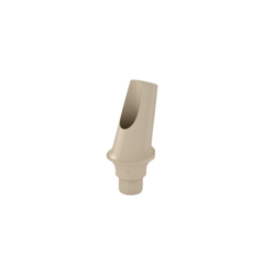 15 Degree Temporary Abutment H2mm PEEK