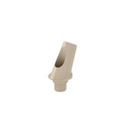 25 Degree Temporary Abutment H1mm PEEK