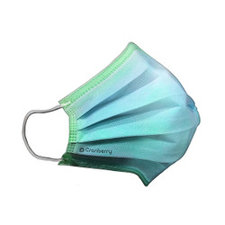 Cranberry Cosmo Ear-Loop Face Mask, 4-Ply Galactic Green 50/Box