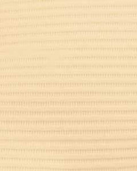 Professional Regular BEIGE Rectangle (13' x 19') 3 Ply tissue Patient Bibs