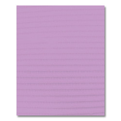 Advantage Aqua Patient Bibs plain rectangle (13' x 18'), 2 Ply Paper/1 Ply