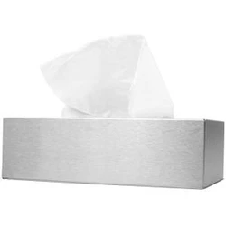 Infection ControlHouse Brand 2-Ply Facial Tissues, White, Flat Box, 100 Tissues per Box, Case