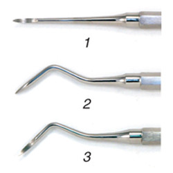 Infection ControlHouse Brand #1 Heidbrink Root Tip Pick