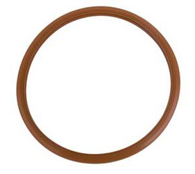 Infection ControlDoor Gasket Pelton & Crane Validator 10, 10-1/4' inner diameter