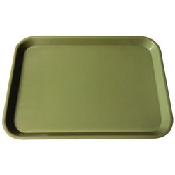 Plasdent Set-up Tray Flat Size B (Ritter) - Green, Plastic 13-3/8' x 9-5/8' x