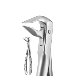X-Trac Forceps Lower Anterior, Beveled Beaks