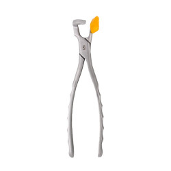 Physics Forceps Molar GMX 400 EZ1