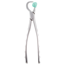 Physics Forceps Standard Left GMX 100
