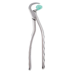 Physics Forceps Standard Anterior GMX 100