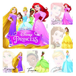 Assorted Stickers Disney Princess Autograph Stickers, 100/Roll, PS631