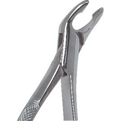 Stainless Steel Extraction Forceps #151A