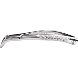 Infection ControlStainless Steel Extraction Forceps #151S