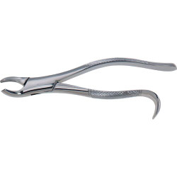Infection ControlStainless Steel Extraction Forceps #18L