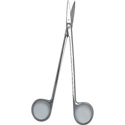 Infection ControlScissors Dean, 6 1/2", Each