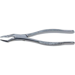Stainless Steel Extraction Forceps #65