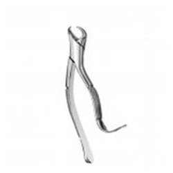 Extracting Forceps Straight  (F16M)