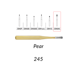 Great White Gold Carbide GW245, 10 Pack