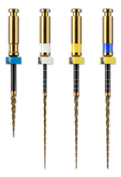 HyFlex EDM OGSF Sequence, 21mm, 4pcs