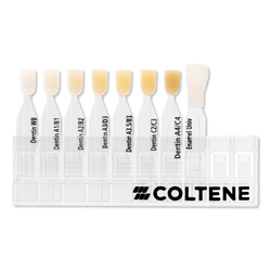 Coltene Synergy D6 Shade Guide, 1 pc
