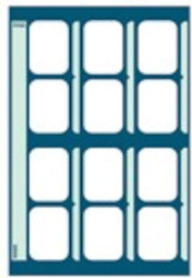 Pocket X-Ray Mounts, Masked Pocket, 12H, 100/Pkg., TP212