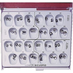 Lower Bicuspid Stainless Steel, Left Lower First, B13, 3/Pkg