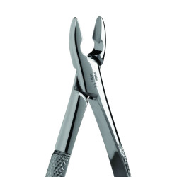 Forceps 99c
