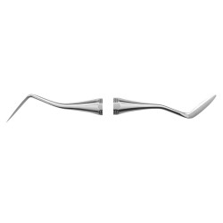 Carver DE Hollenback 3