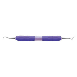 WSL Scaler LT NV1-Anterior
