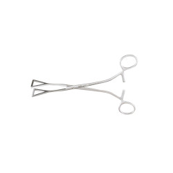 Collins Tissue Forceps STR 7-3/4 1-1/8 Wide Jaws