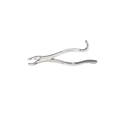 Extracting Forceps 53R
