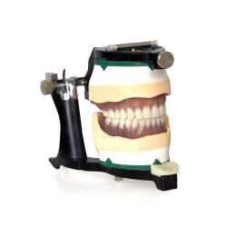Diamond D HC 5 lb. Dark Veined
